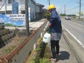 緑とあかりの里親