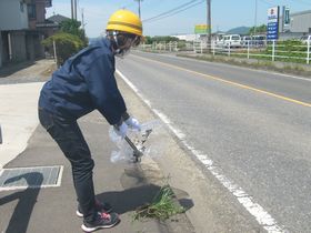 緑とあかりの里親